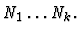 $\mbox{\it N}_1 \ldots {\it
N}_k.$